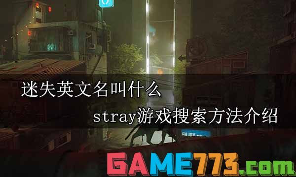 迷失英文名叫什么 stray游戏搜索方法介绍