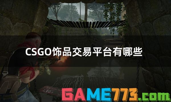 CSGO饰品交易平台有哪些 国内最大的CSGO饰品交易平台推荐