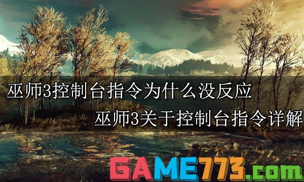 巫师3控制台指令为什么没反应  巫师3关于控制台指令详解