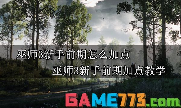 巫师3新手前期怎么加点 巫师3新手前期加点教学