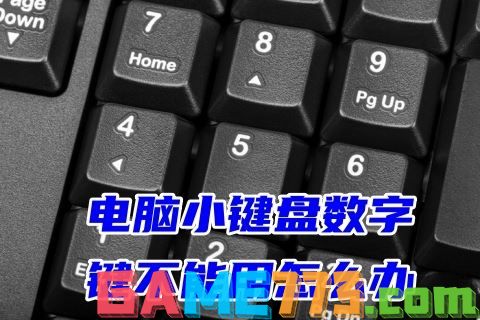 笔记本数字键盘打不出数字