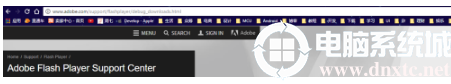 谷歌浏览器adobe flash player不是最新版本解决方法
