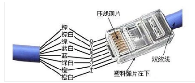 网线排序