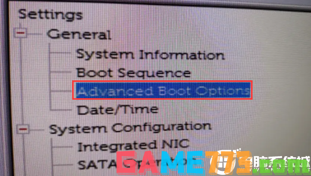 Advanced Boot Option