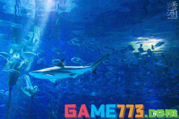 深海秘境：探索神秘的哥布林鲨鱼