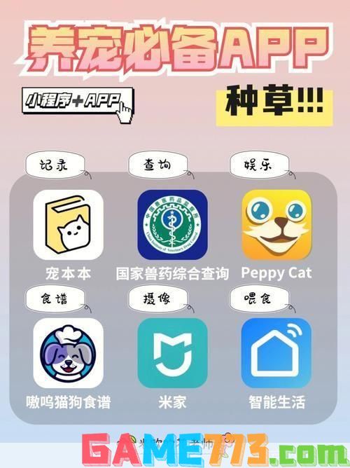 猫咪软件app的详细使用指南