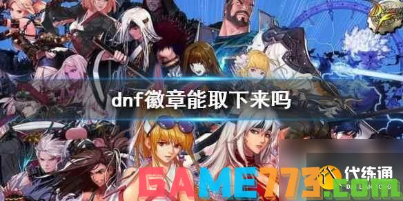 <b>dnf</b>徽章镶嵌说明