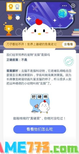 我们经常饲养的宠物龙猫是猫吗