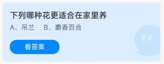 《蚂蚁庄园》8.19下列哪种花更适合在家里养