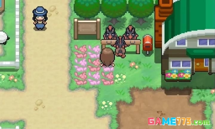 口袋妖怪白金汉化下载截图2