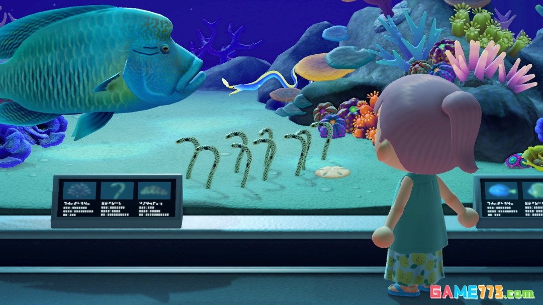 传闻集合啦动物森友会Switch2版将于12月16日公布更多信息