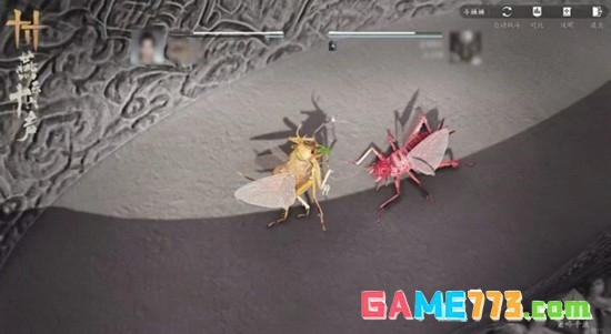 《燕云十六声》开封皇宫斗虫玩法介绍