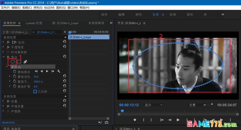 Premiere2018怎么将视频部分区域变成黑白效果
