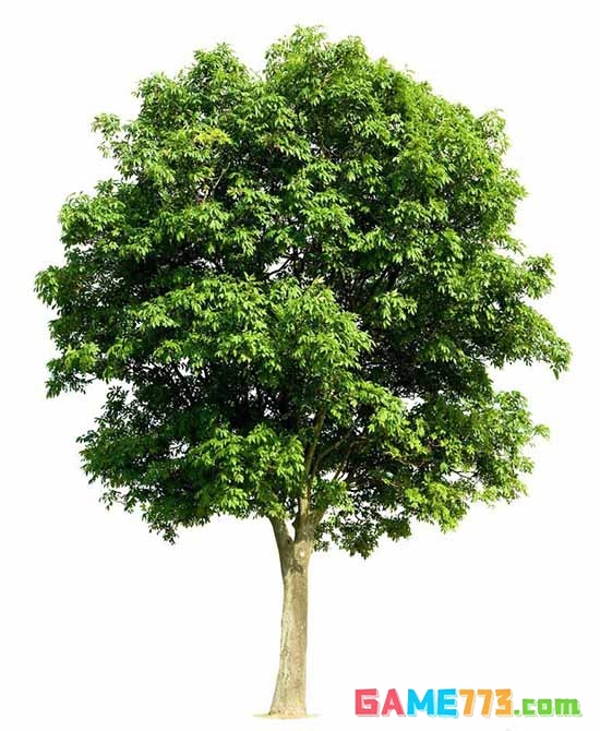 Premiere怎么制作漂亮的多重曝光效果