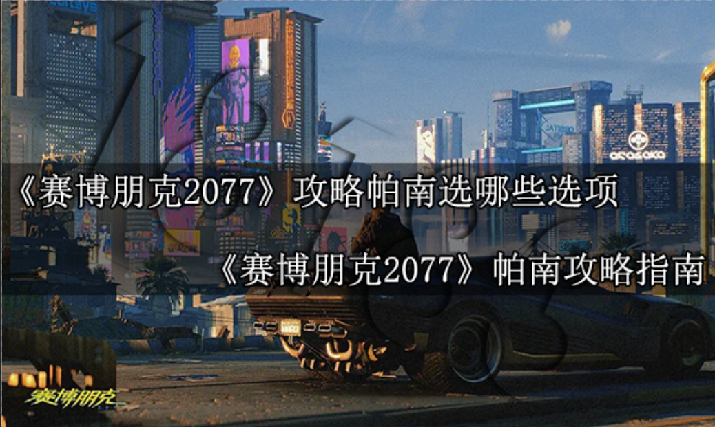 赛博朋克2077攻略帕南选哪些选项?帕南攻略指南