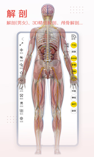 3dbody人体解剖学app免费版截图2