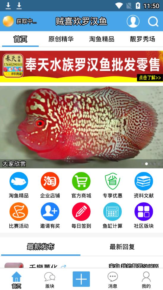 贼喜欢罗汉鱼app截图1