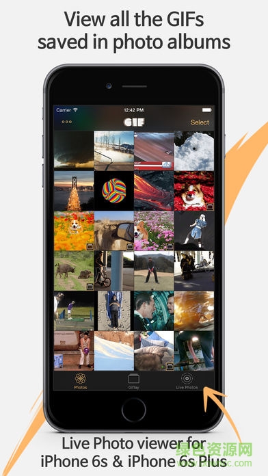 GIF查看器Giflay(GIF Player)截图1