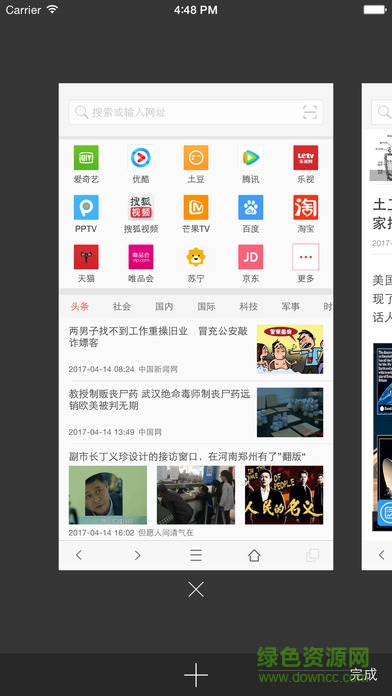 vip浏览器app最新版截图3