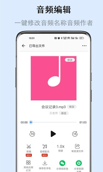 自动语音导出截图3