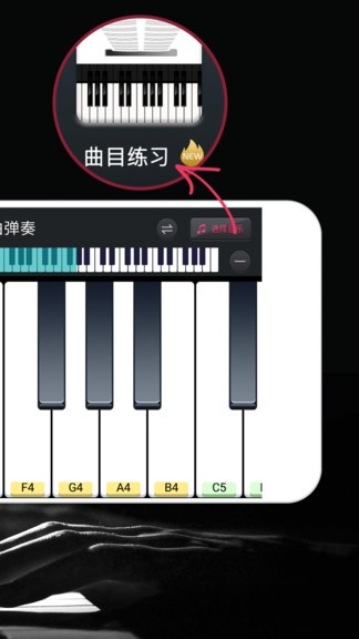 模拟钢琴app截图2