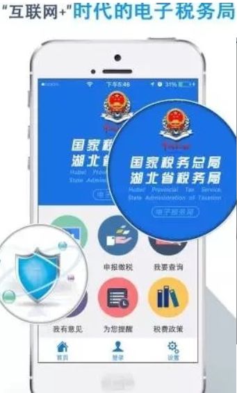 湖北楚税通app交医保截图3