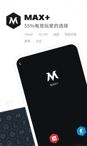 dota2max手机版截图4