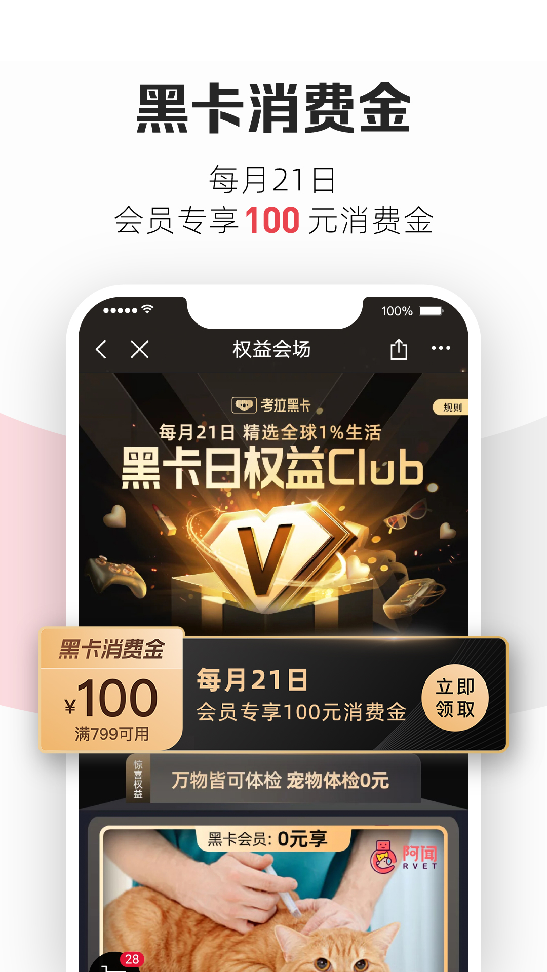 网易考拉APP截图4