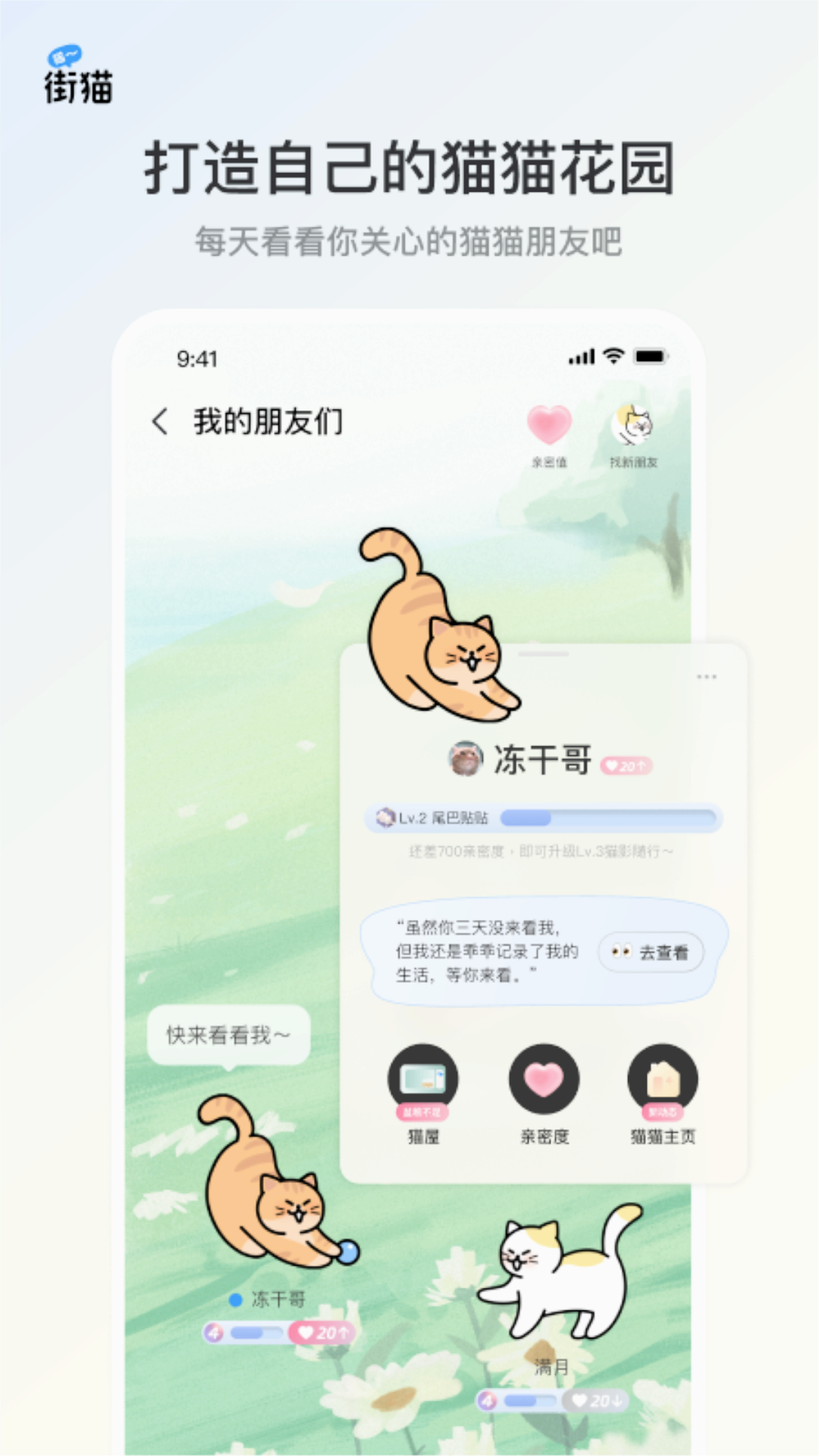 哈啰街猫app下载截图3