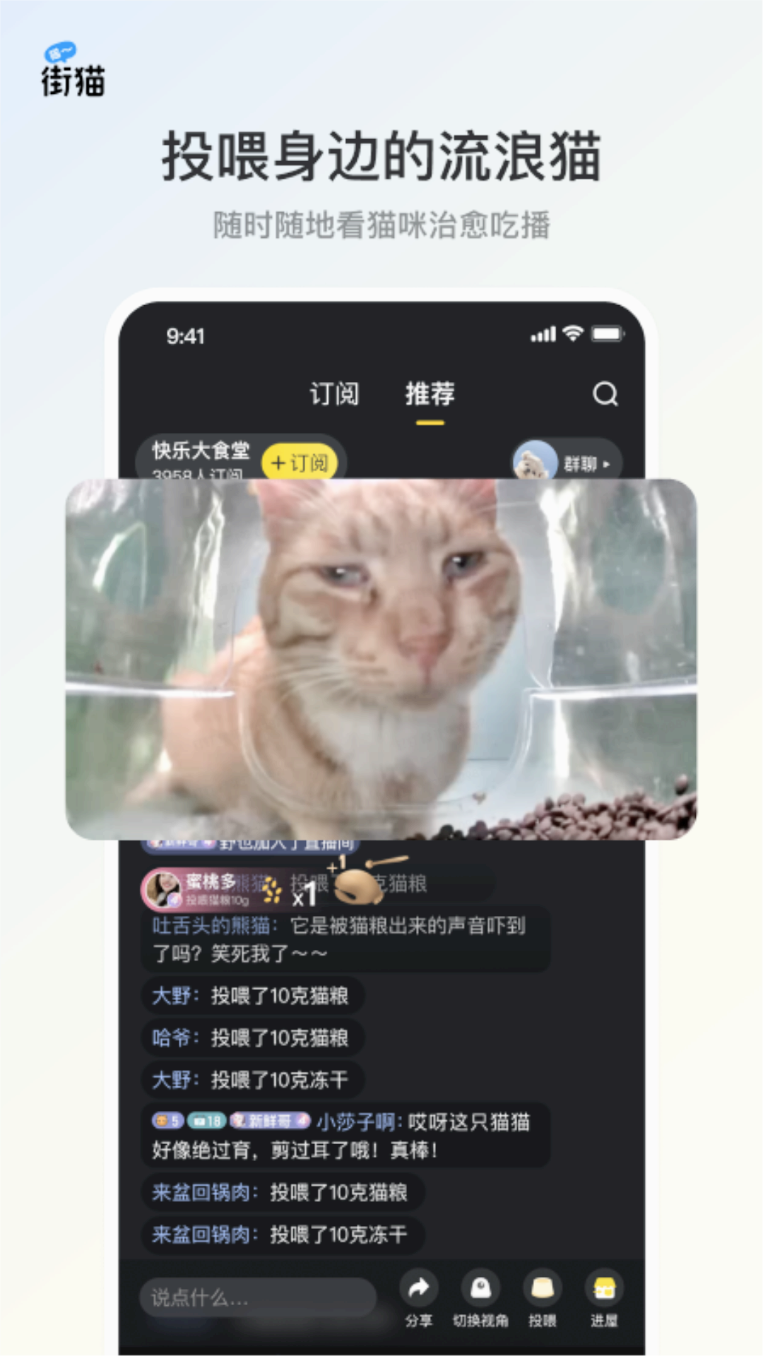 哈啰街猫app下载截图1