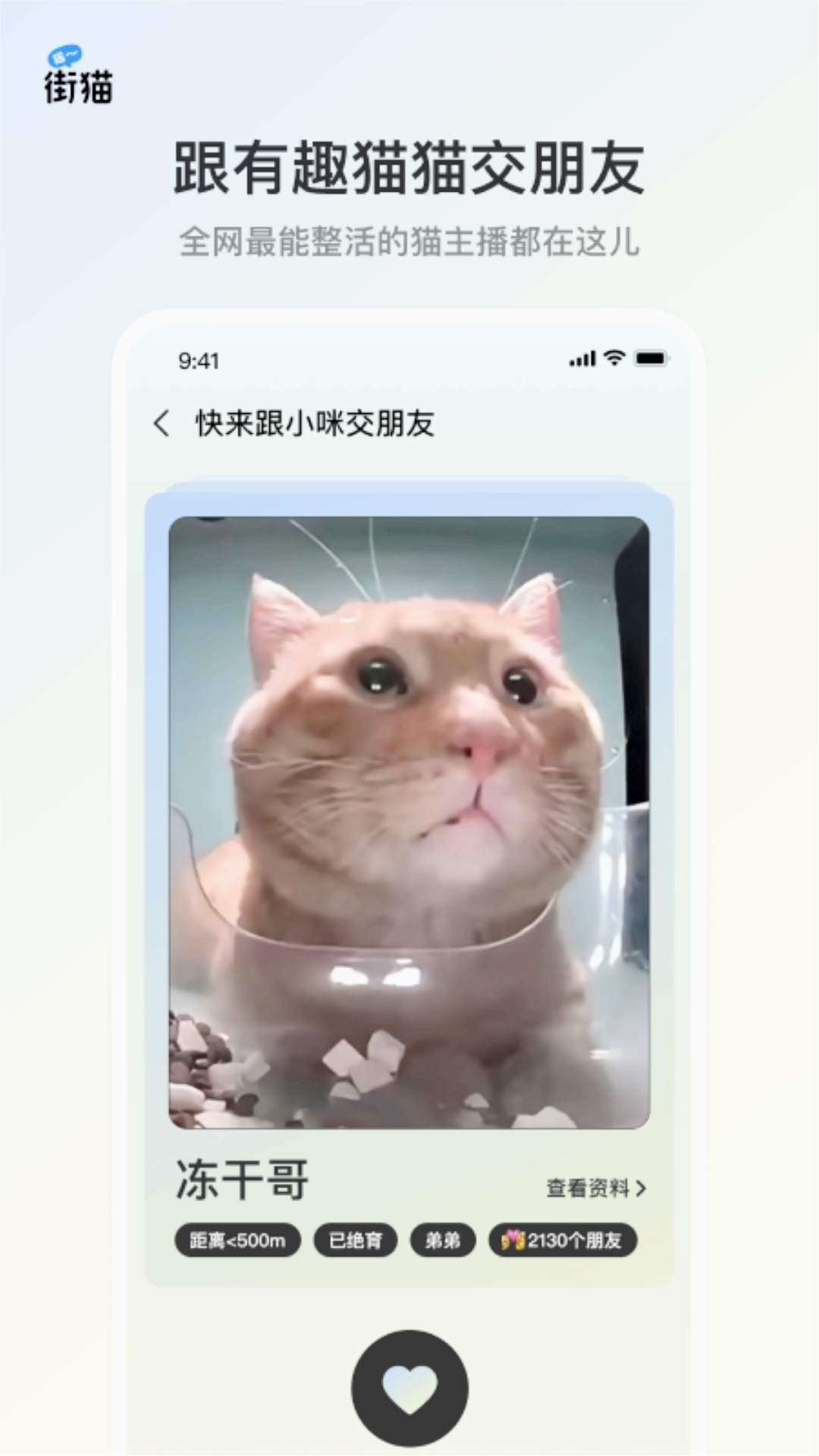 哈啰街猫app下载截图2