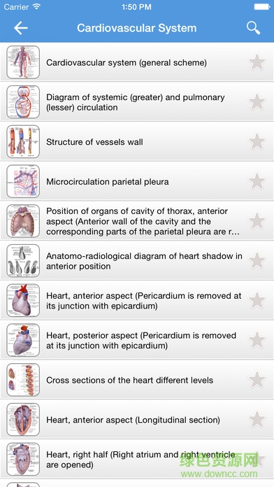 Human Anatomy Atlas 2017 Edition截图3