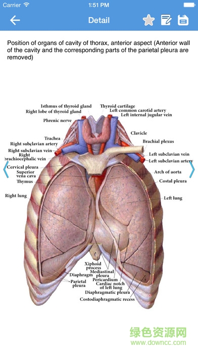 Human Anatomy Atlas 2017 Edition截图2