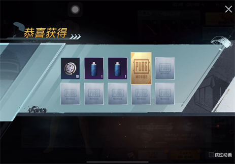 PUBG MOBILE正版绝地求生国际服手游下载截图5