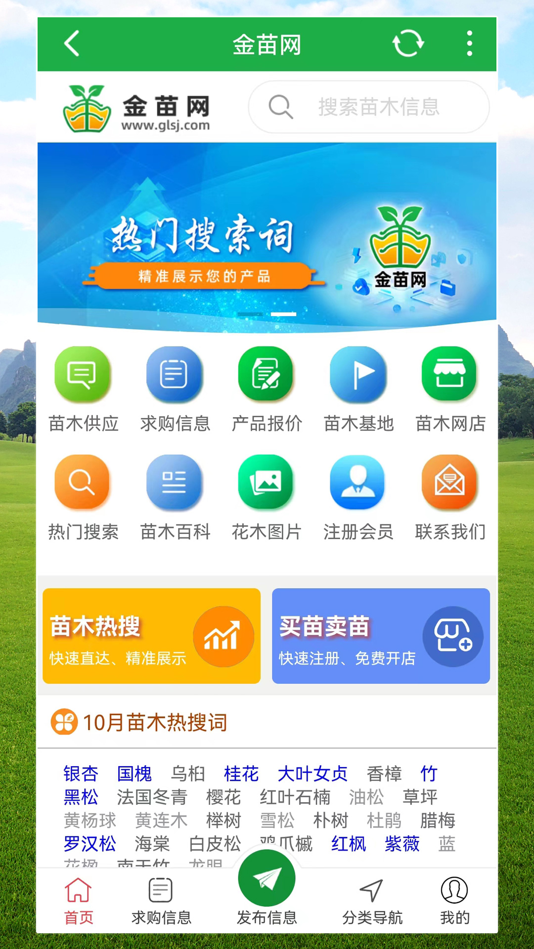 金苗网app截图2