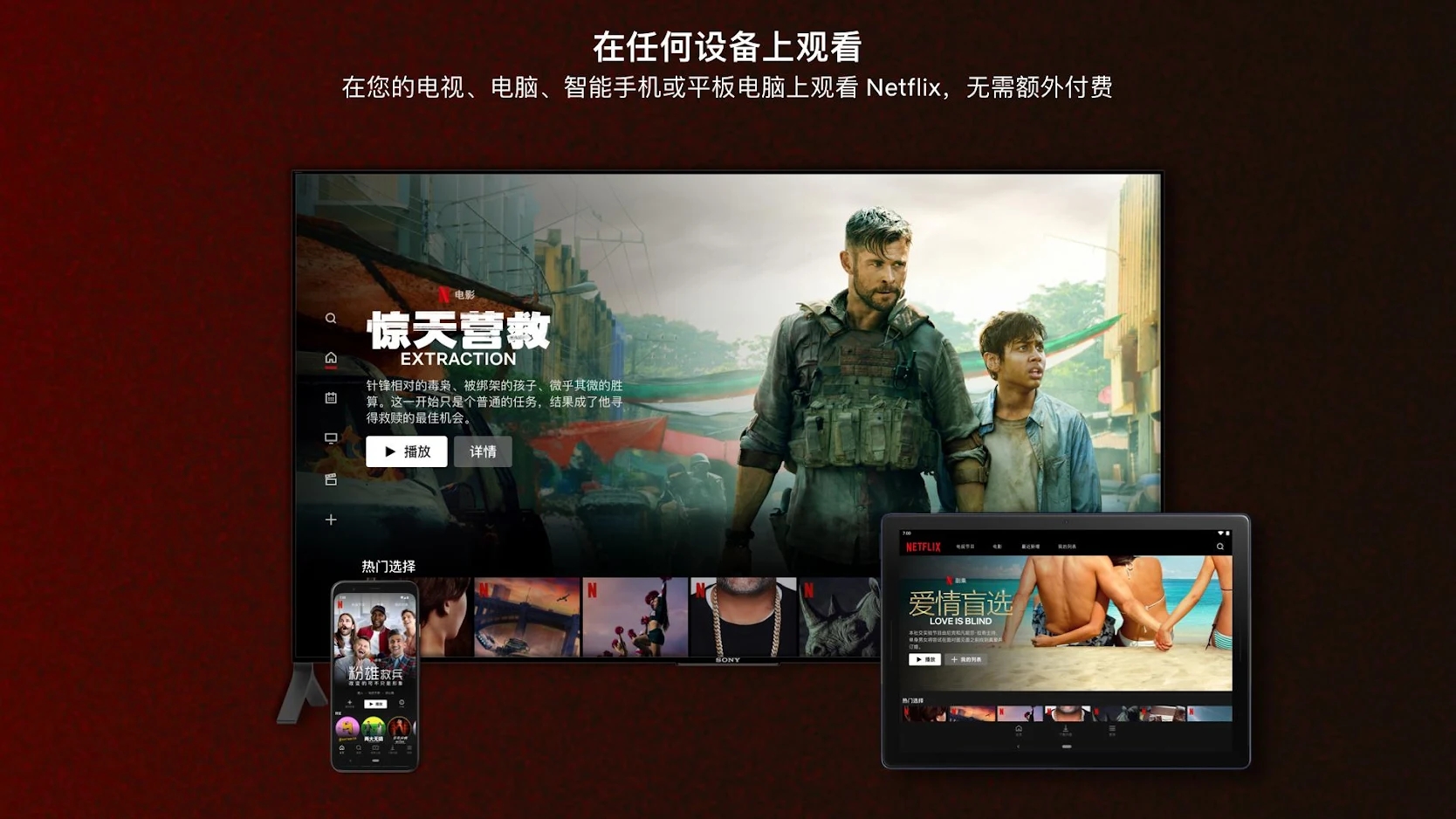 网飞Netflix电视版apk截图4