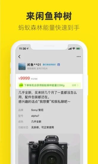 闲鱼去广告精简版截图1