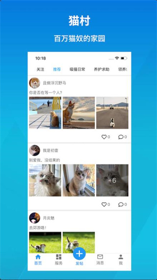 猫村手机版最新免费安装2021截图1
