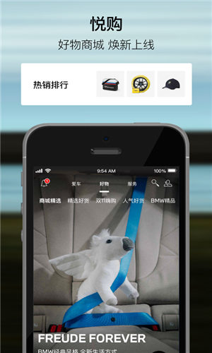 mybmwapp官方版截图2