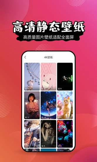 壁纸精灵最新破解版截图2