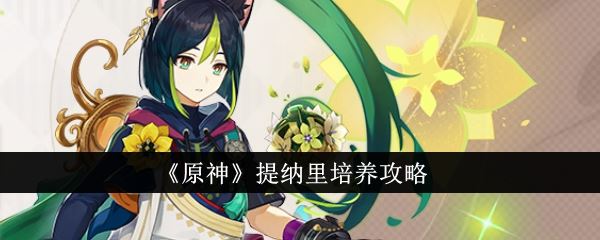 原神提纳里怎么培养 提纳里培养攻略