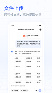 Deepseek最新版截图5