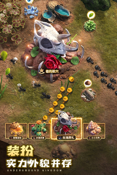 小小蚁国无限钻石版下载