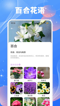 手记app安卓版截图4