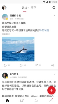 微博轻享版app下载安装最新版