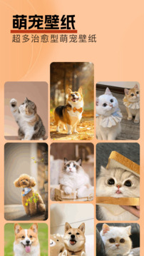 壁纸精灵app下载免费版截图3