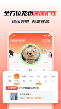 宠物家app下载安装最新版最新版