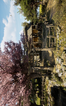 重返学校免广告作弊菜单下载(暂无资源)截图3