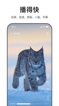 迅雷浏览器旧版截图3