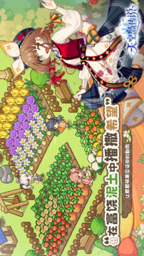 天空岛传说测试服(暂无资源)截图5